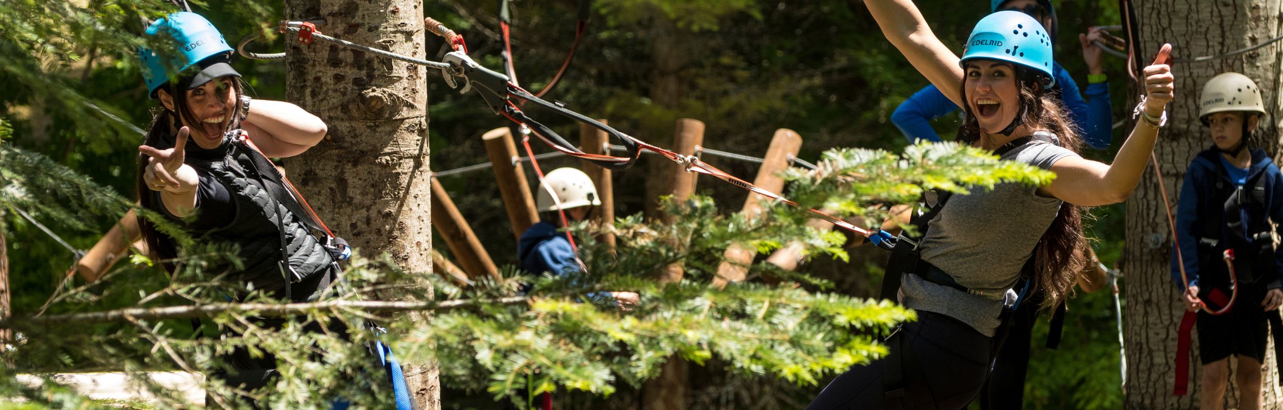 Spokane's Aerial Trek Park